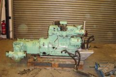 ferret-christmas-020